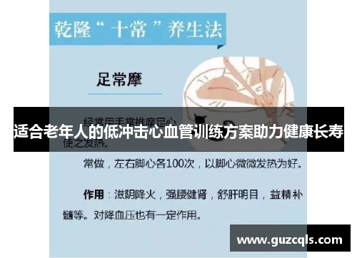 适合老年人的低冲击心血管训练方案助力健康长寿