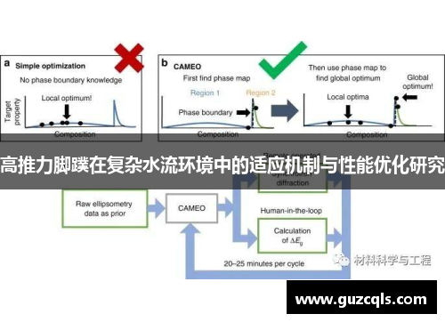 高推力脚蹼在复杂水流环境中的适应机制与性能优化研究